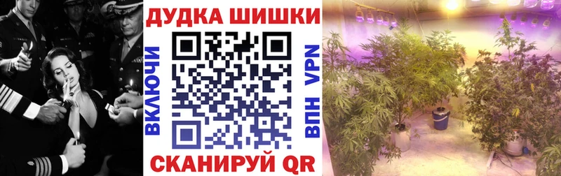 МАРИХУАНА ГИДРОПОН  OMG ССЫЛКА  Кувшиново 